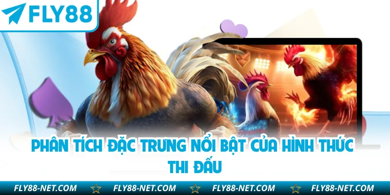 Phân tích đặc trưng nổi bật của hình thức thi đấu